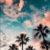 florida_gal07